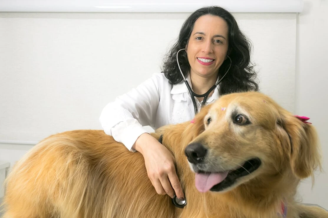 Médico veterinário em Jaguariúna