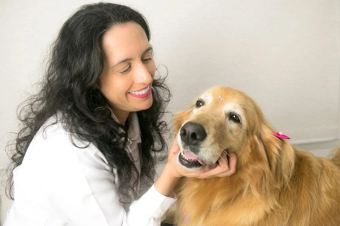 Odontologia para cachorro